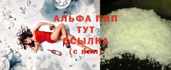 стаф Алексин