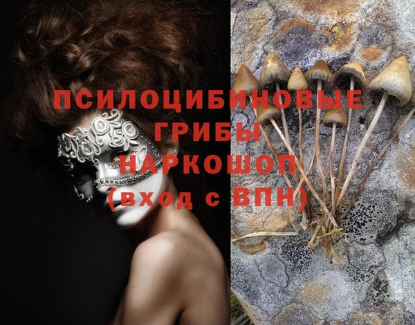 бутират Алзамай