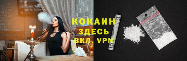 стаф Алексин