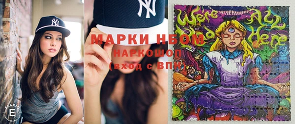 стаф Алексин